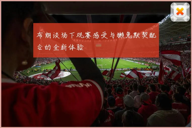 布朗谈场下观赛感受与獭兔默契配合的全新体验