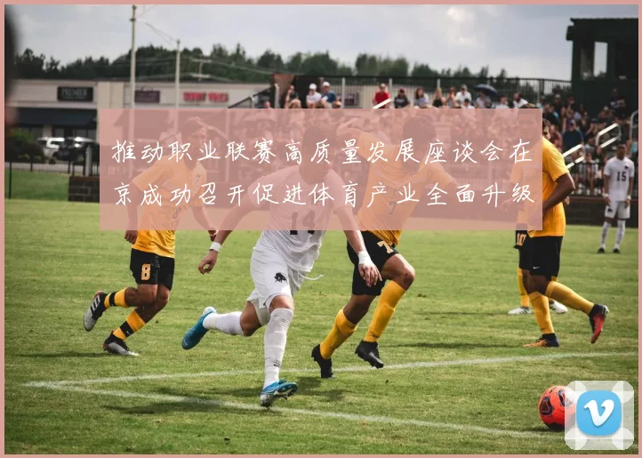 推动职业联赛高质量发展座谈会在京成功召开促进体育产业全面升级与创新发展